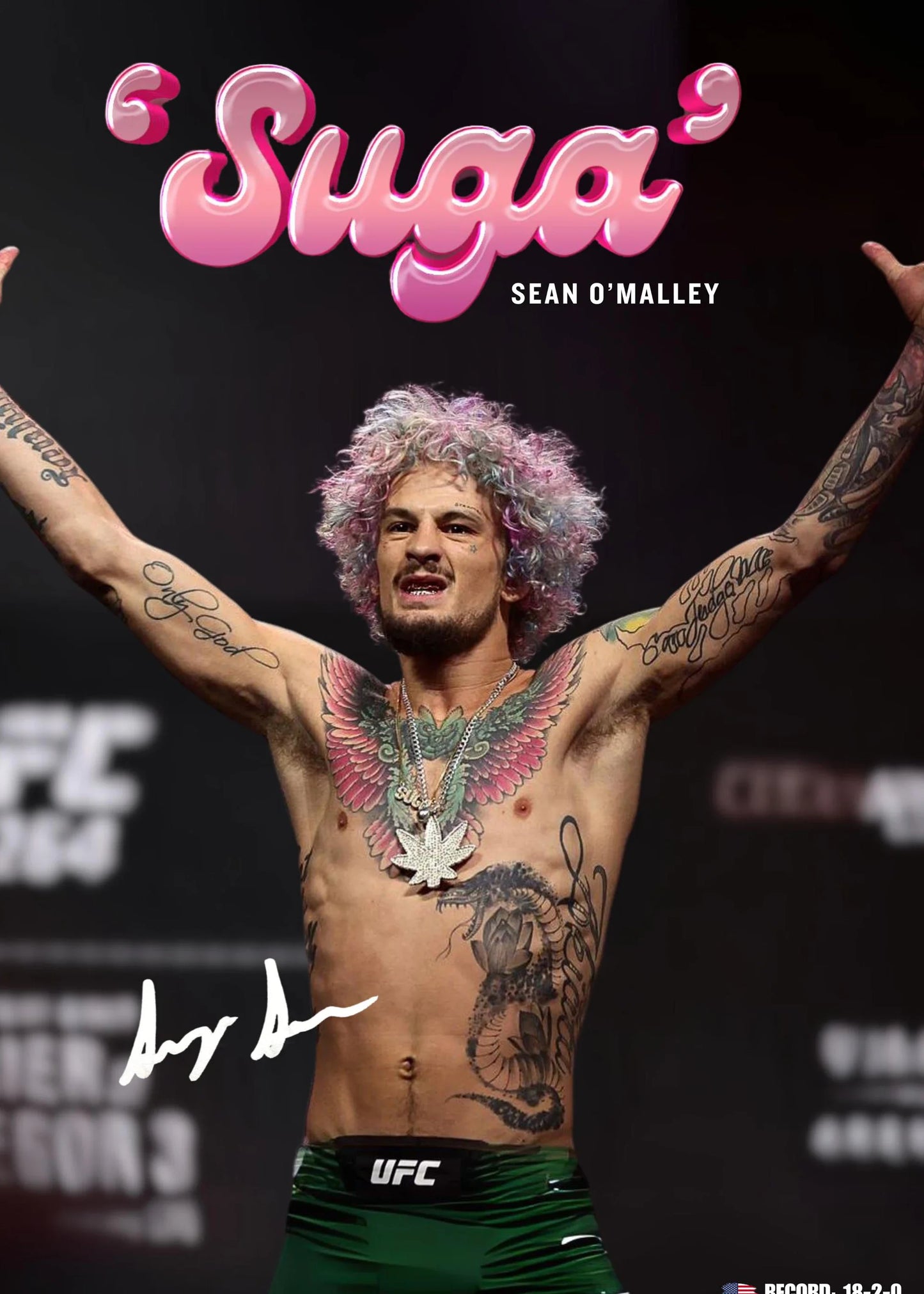 Ultimate Fighting Championship Poster UFC Mixed Martial Arts Unique Design Prints Canvas Wall Art Pictures Home Room Decoration