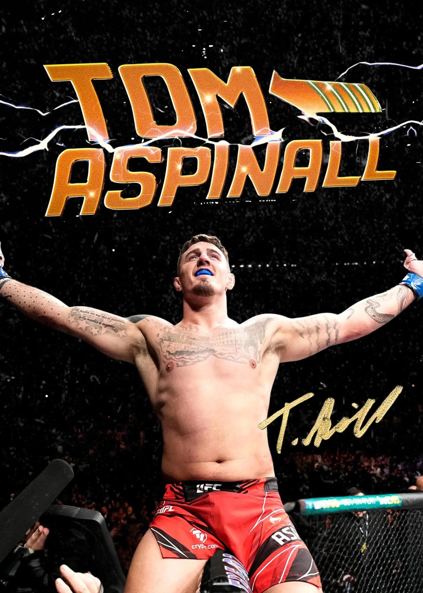 Ultimate Fighting Championship Poster UFC Mixed Martial Arts Unique Design Prints Canvas Wall Art Pictures Home Room Decoration